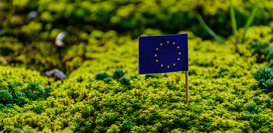 European union flag in vibrant green environment.