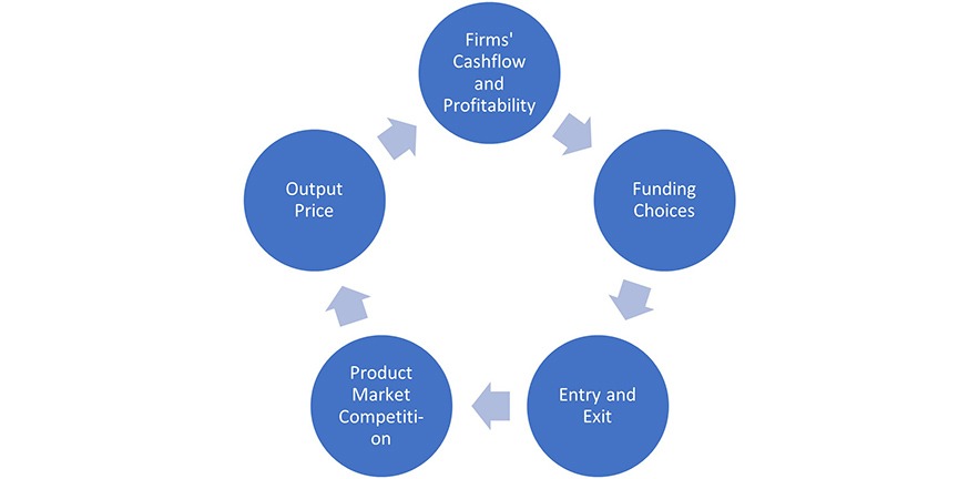 Flowchart showing a firms' cashflow and probability affects funding choices which affects entry and exit which affects product market competition which affects output price which in turn affects a firms' cashflow and probability. And so the cycle continues.