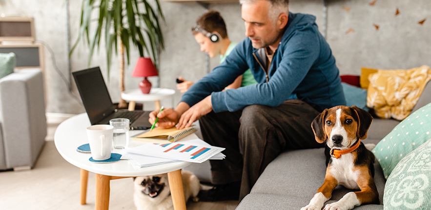 A busy father works at home on his laptop, while his son plays on his phone beside him on the sofa and two dogs look at the camera.