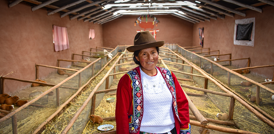 A proud Quechua Andina lady at her guinea pig farm in the Sacred Valley of the Incas in Cusco, Peru.