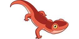 NeWTS.
