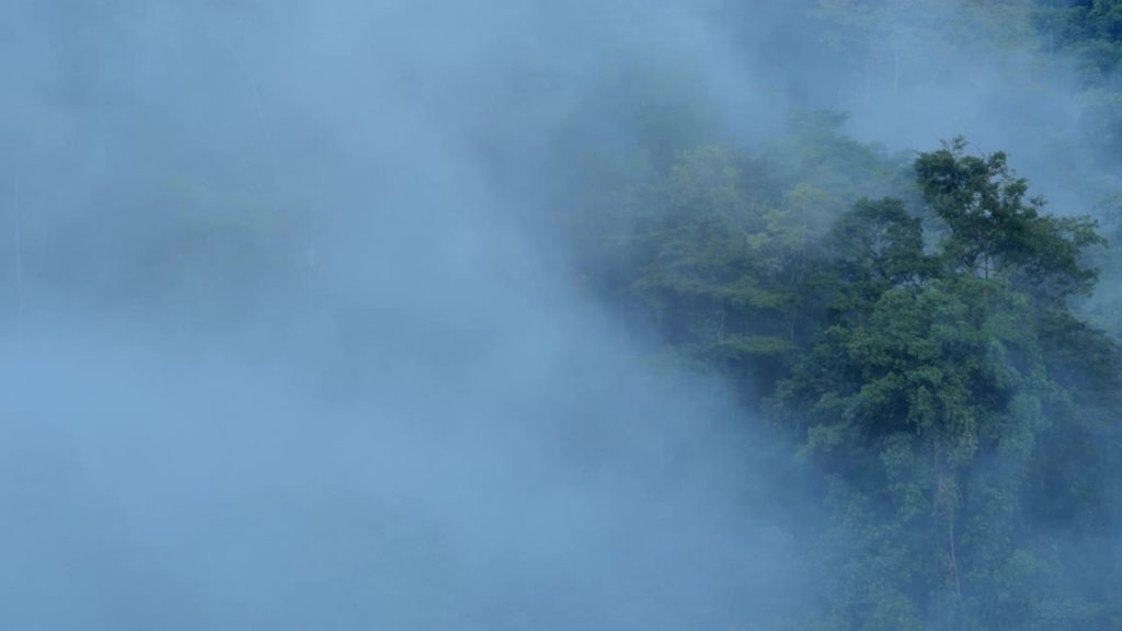 Clouds over the rainforest.