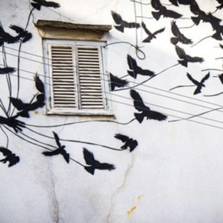 Graffiti art of a girl and a lot of birds in black on a white wall.