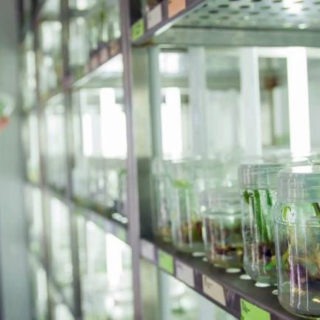 Small, inexperienced entrepreneurial companies making up the biotech industry have created more life-changing medicines than all of the large pharmaceutical companies combined.