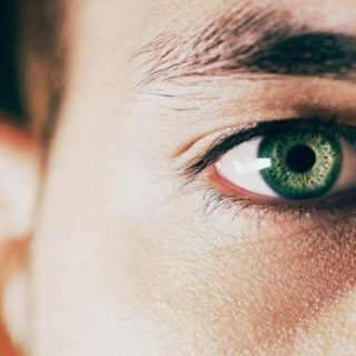 Taming the ‘green-eyed monster’ at work.