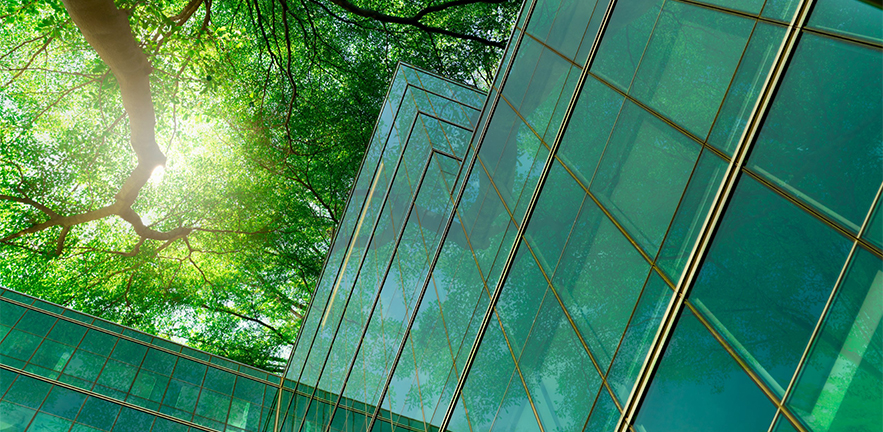 Sunlight shining through the tree canopy onto a glass building.