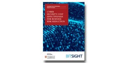 Cyber secutiry cost effectiveness for business risk reduction