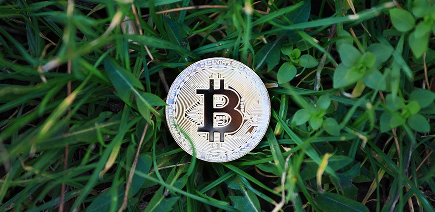 A deep dive into Bitcoin’s environmental impact.