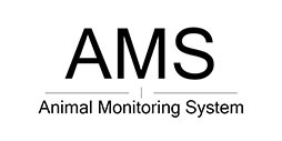 AMS logo.