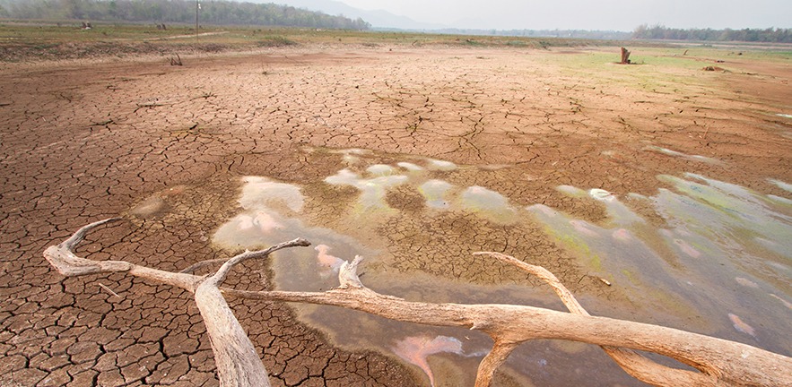 A dry lake bed with cracked earth.