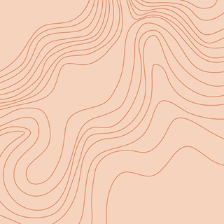 Topographic map.