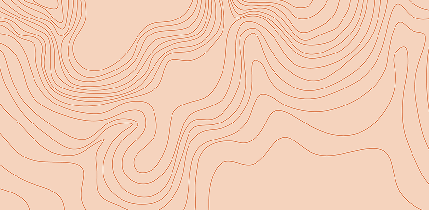 Topographic map.