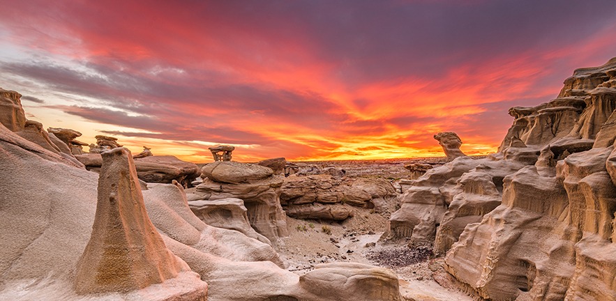 The New Mexico desert at sunset.