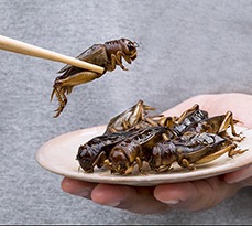 A plate of yummy insects.