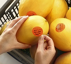 Melons labelled with "buy one get one free".