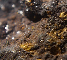 Close-up of pyrite on black mica.