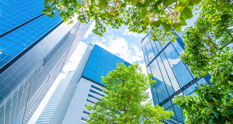 Green trees and office buildings.