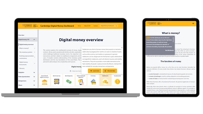 Cambridge Digital Money Dashboard screenshot: Digital money overview.