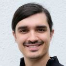 Mario Lins