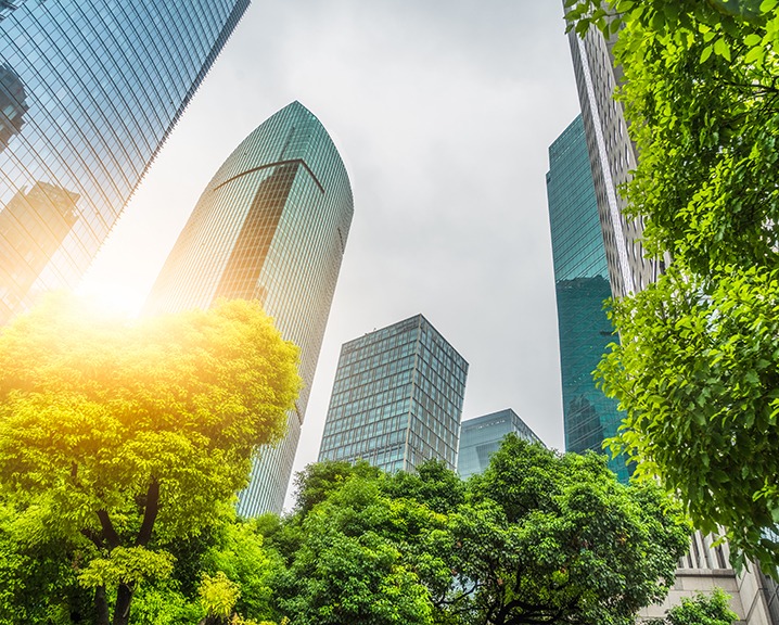 City and trees.