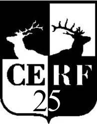 cerf 25th anniversary logo