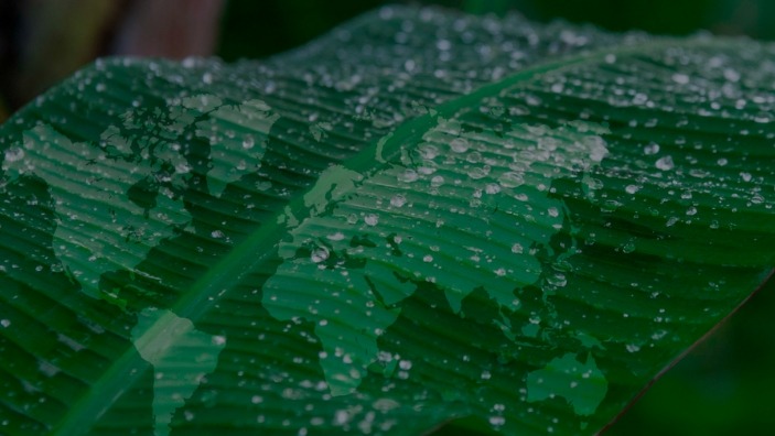 The Cambridge ESG Transformation Programme
