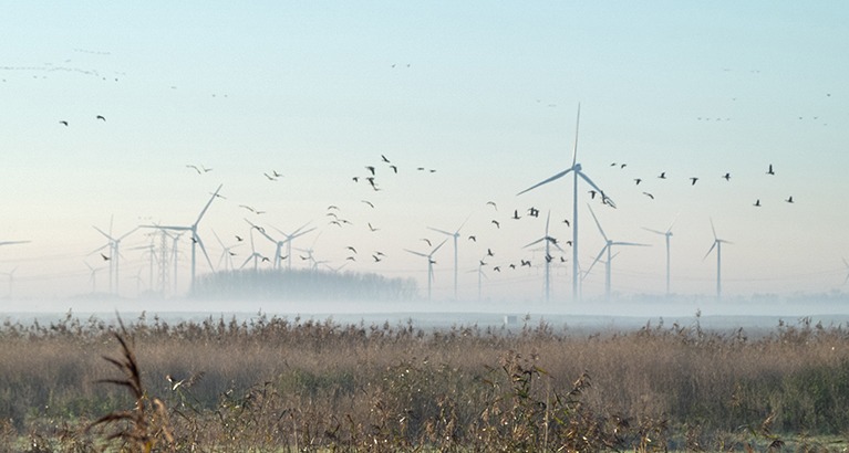US companies operating in ecologically sensitive areas face hidden costs that investors consistently miss, generating a persistent return premium of up to 79 basis points a month for small cap stocks. A new study from the Cambridge Centre for Finance (CCFin) at Cambridge Judge Business School shows that markets repeatedly mistake these stable environmental expenses for declining operational performance.