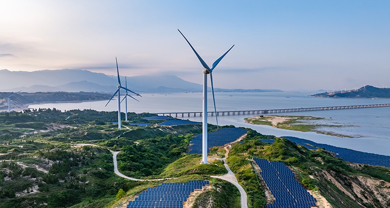 Energy economics expert Michael Pollitt explains why the most muscular solutions to the world’s energy transition are global.